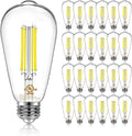 DAYBETTER Vintage LED Edison Bulbs 24 Pack - Bright 5000K Daylight