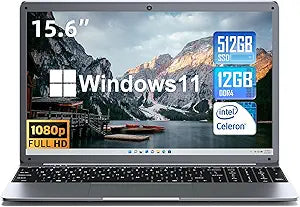 SGIN 15.6 Inch Laptop with 12GB RAM and 512GB SSD Storage