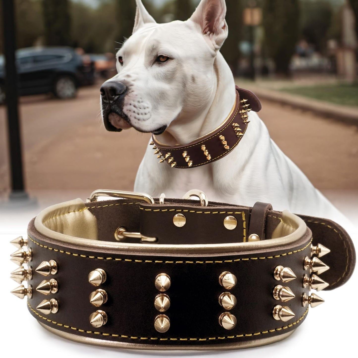 Spiked Leather Dog Collar for Powerful Breeds - Bold Design