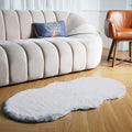 Fluffy Shag Area Accent Rug for Living Room and Bedroom
