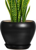 Deep Dream 8 Inch Plant Pot - Modern Ceramic Planter for Indoor Use