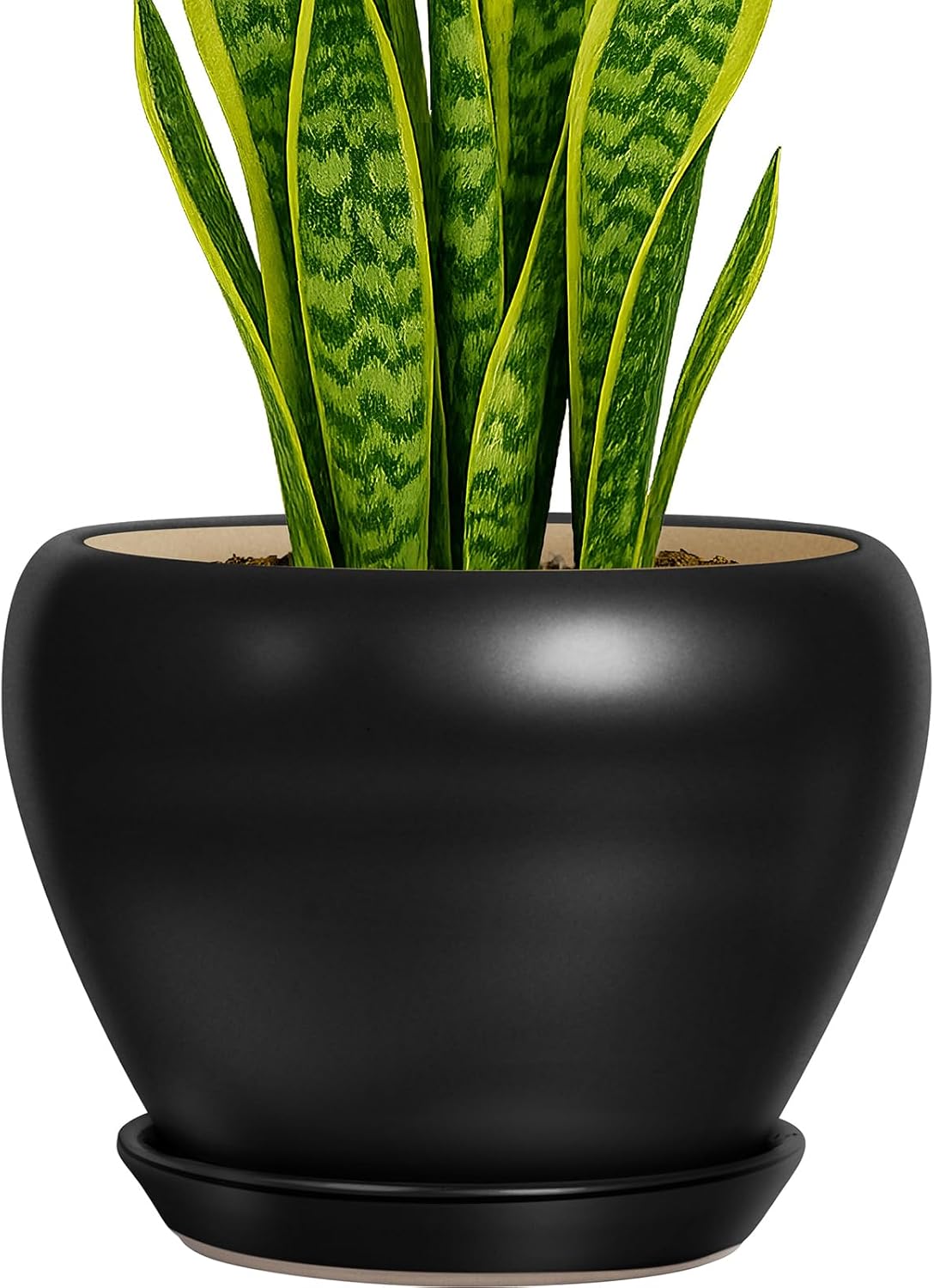 Deep Dream 8 Inch Plant Pot - Modern Ceramic Planters for Home