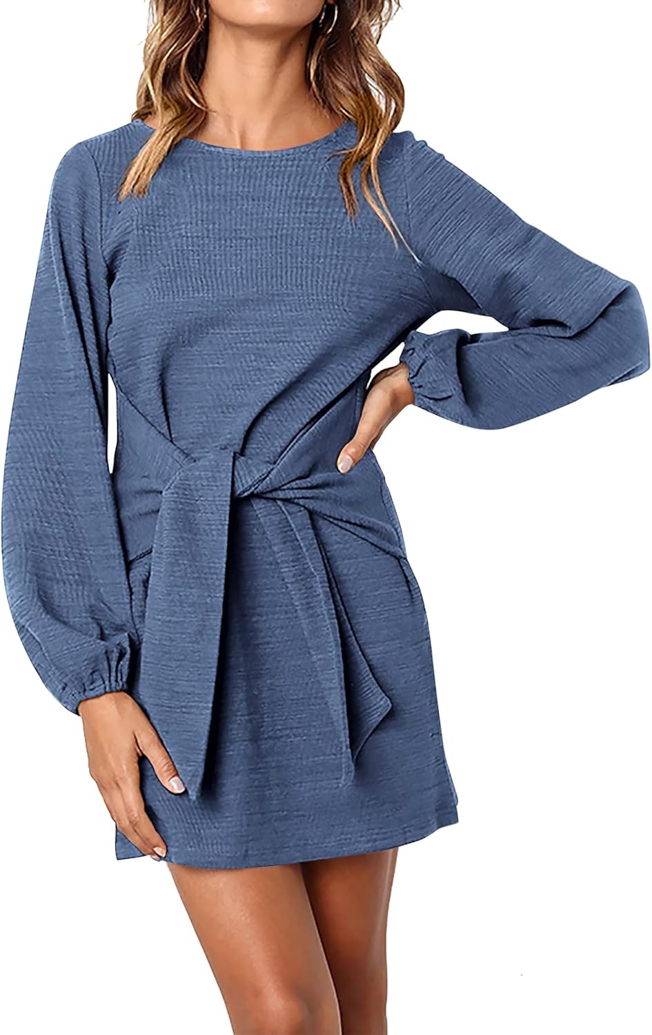 PRETTYGARDEN Womens Fall Elegant Long Sleeve Short Dress