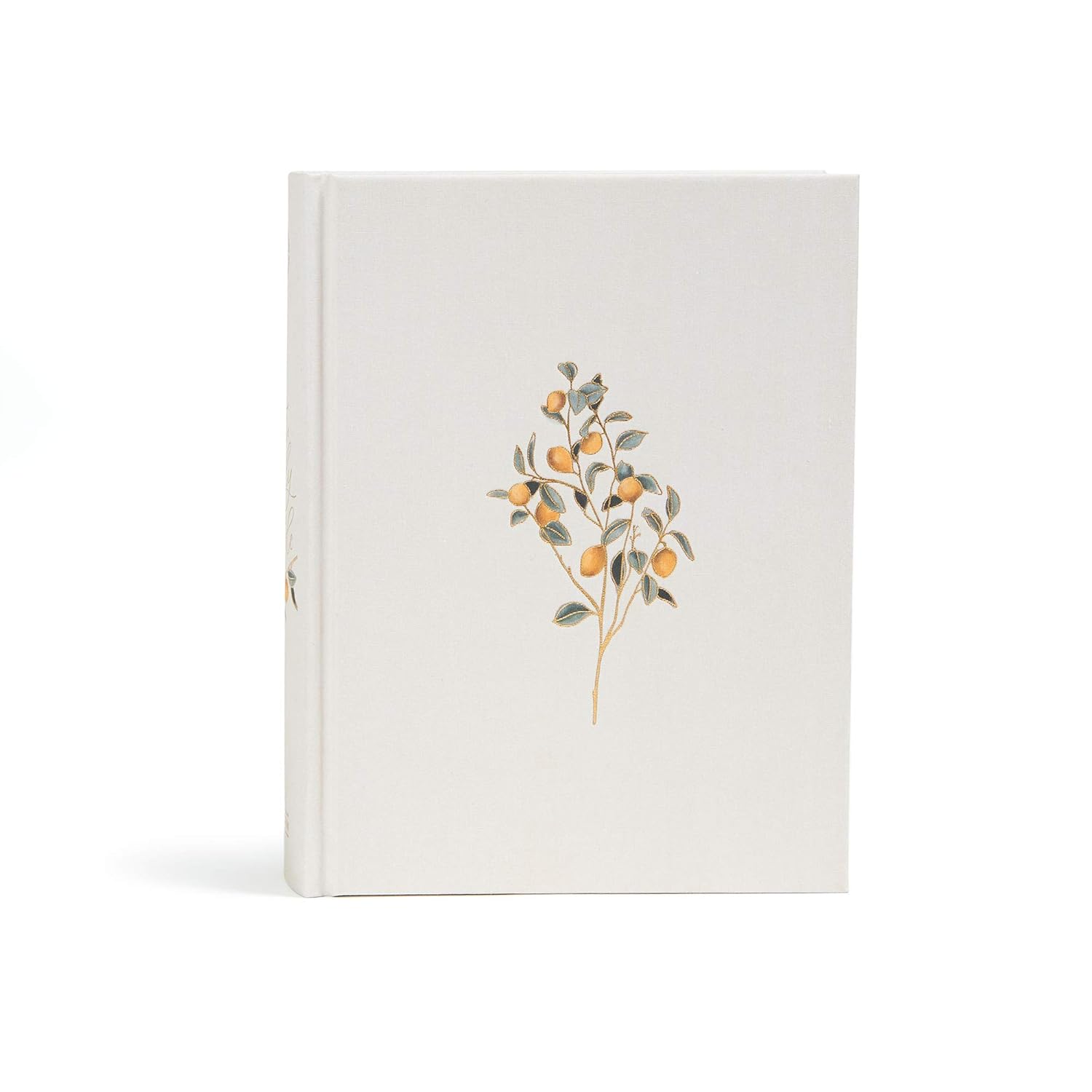 CSB Notetaking Bible for Women, Lemons Cloth Edition Review