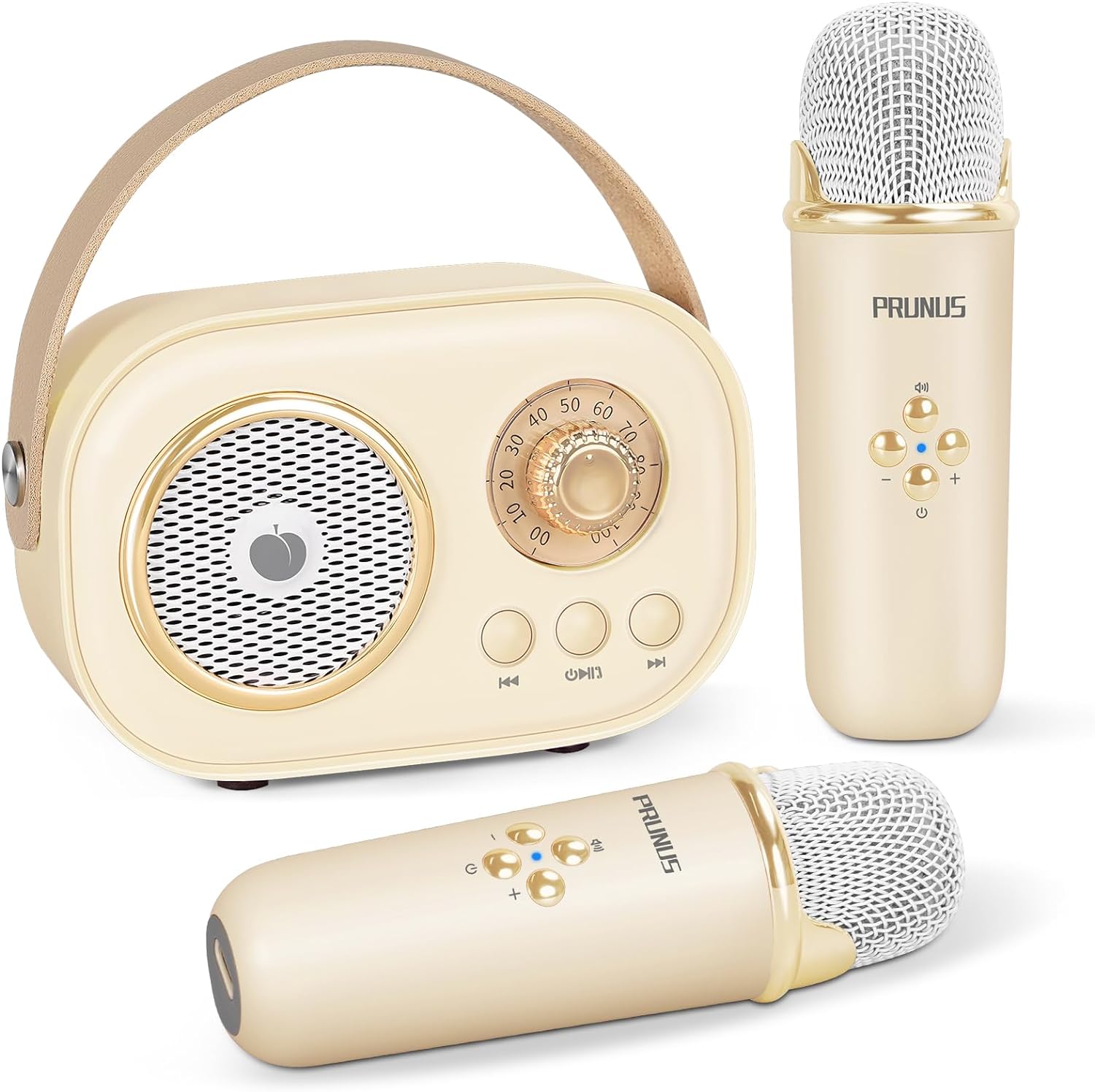 PRUNUS Mini Karaoke Machine: Stereo Sound, Dual Wireless Mics