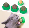 Potaroma Catnip Toys Balls 4 Pcs - Edible Silvervine & Dental Chew