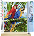 Paint by Numbers Kit for Adults Parrots in The Tropics 16in x20in