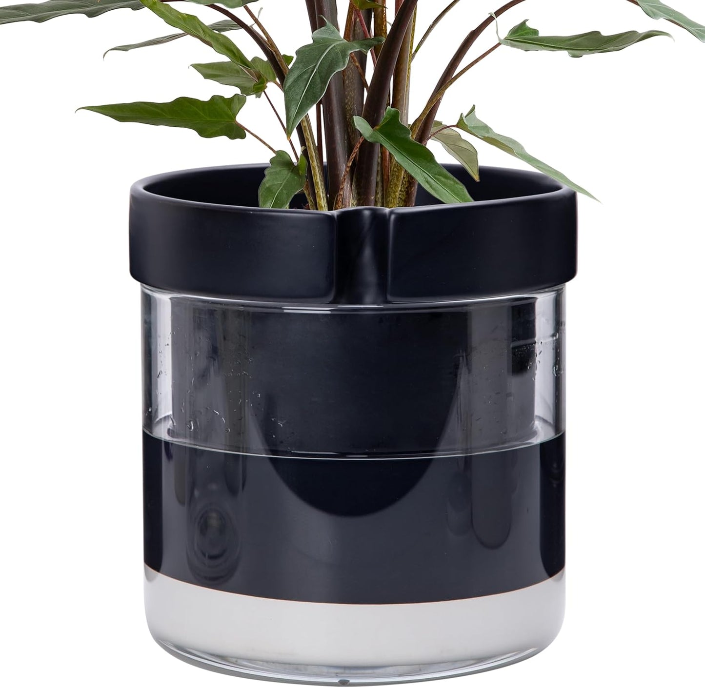 Self Watering Terracotta Planter for Indoor Plants and Herbs
