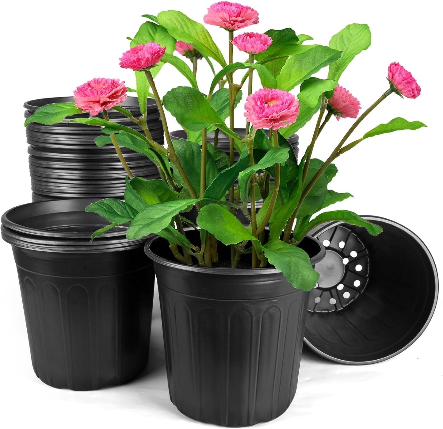 2 Gallon Pots for Plants - Perfect for Cuttings and Transplanting