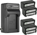 Kastar 4-Pack Battery and AC Wall Charger for Hitachi Cameras