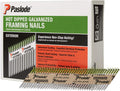 Paslode Hot Dipped Galvanized Framing Nails 2 in.113 - 2,000/Box