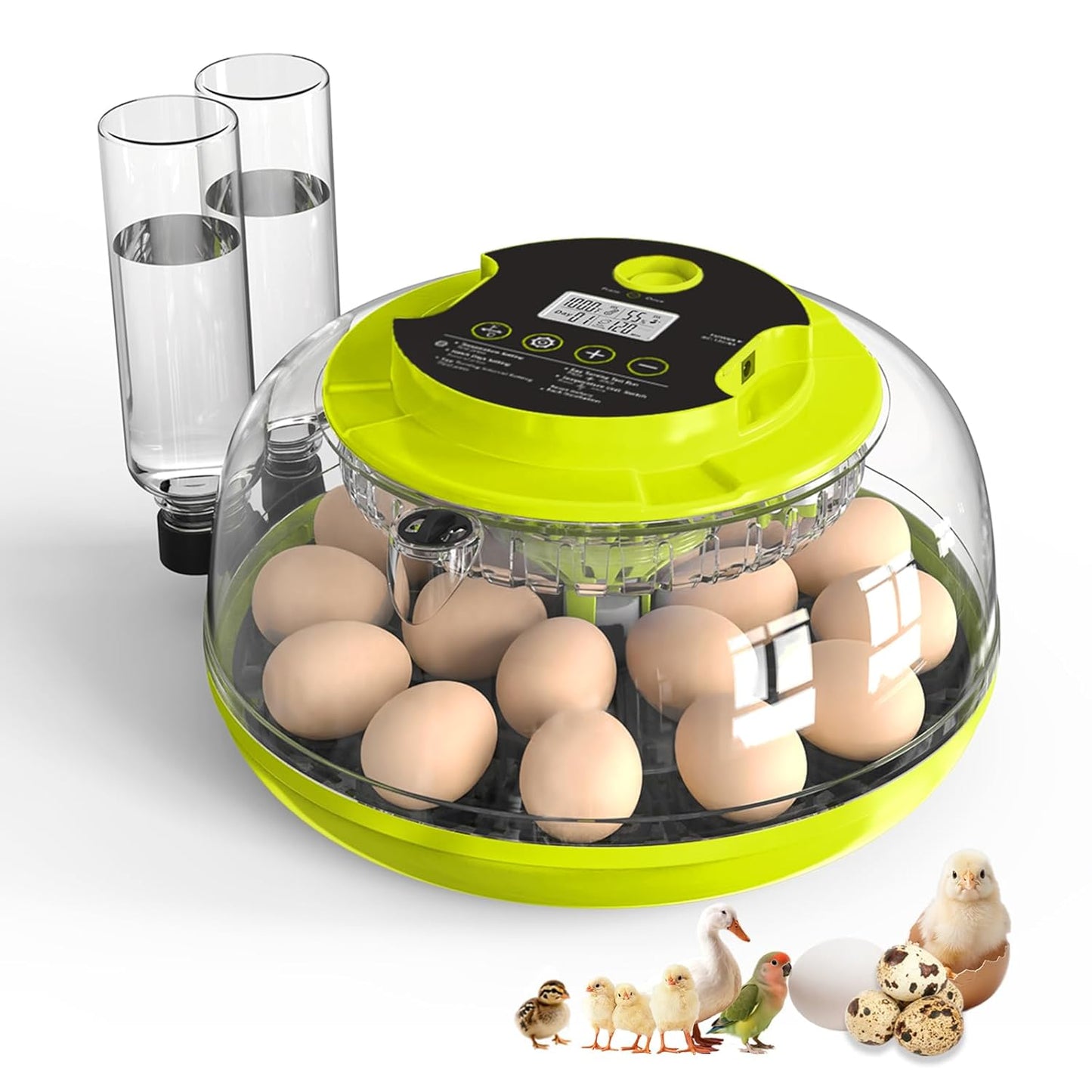 Incubator for Hatching Eggs with Automatic Turner & Control