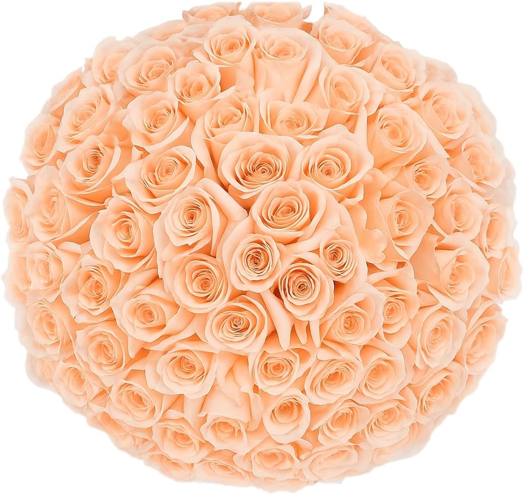 GlobalRose 150 Peach Roses Bouquet for Every Special Occasion