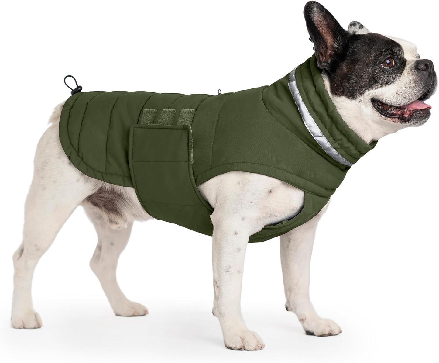 Dog Coat Waterproof Winter Jacket for Medium Dogs - Green