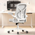 ACCHAR Ergonomic Desk Chair: Comfort & Style in Grey