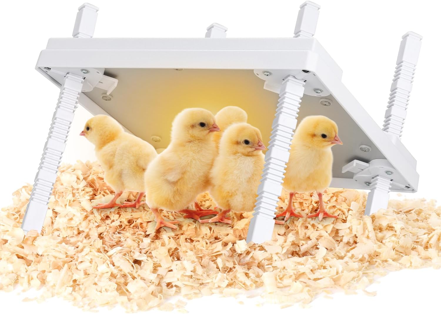 Chick Brooder Heating Plate for 20 Baby Chicks - 30W Energy Saver
