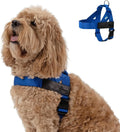 DF Co. Dog Harness Classic Blue Size M - Sturdy, Chafe-Resistant Fit