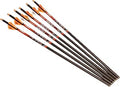 RAVIN R138.003-Carbon Crossbow Arrows Pack of 6 - Precision 20in Bolts