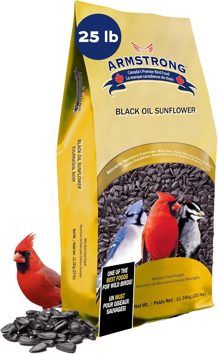 Armstrong Wild Bird Food Black Oil Sunflower Seed for Birds
