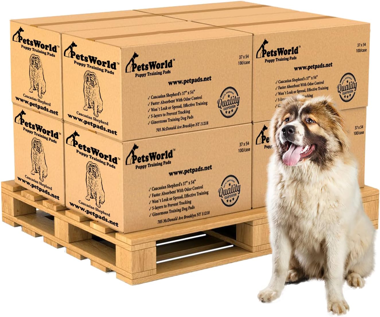 PETSWORLD Enormous Dog Training & Potty Pads for All Pets