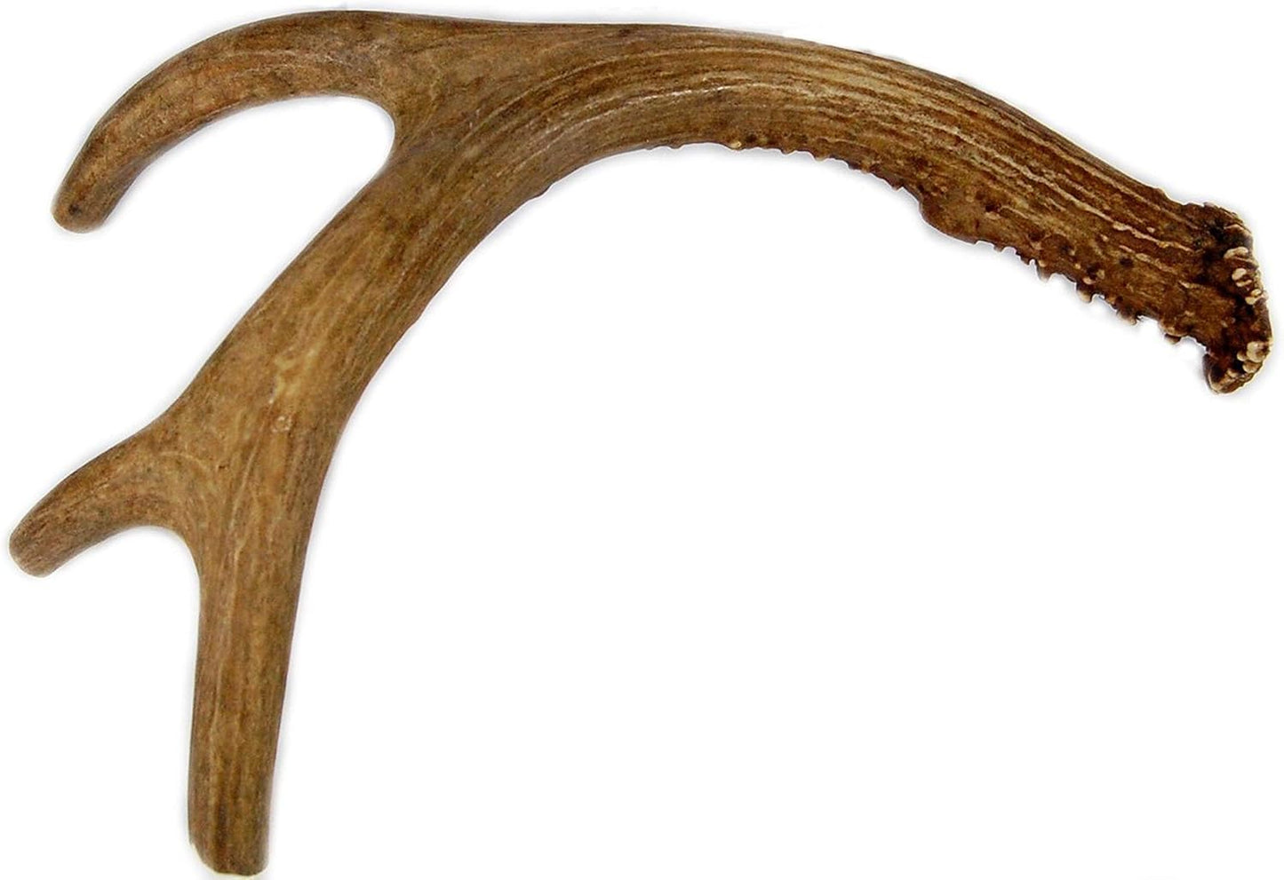 Deer Antler Dog Chew for Medium to Large Dogs - Grade A Quality