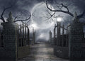10x8Ft Black Halloween Night Backdrop for Scary Photography