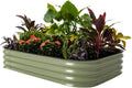 Vego Garden Raised Garden Bed Kits for Vegetables and Flowers