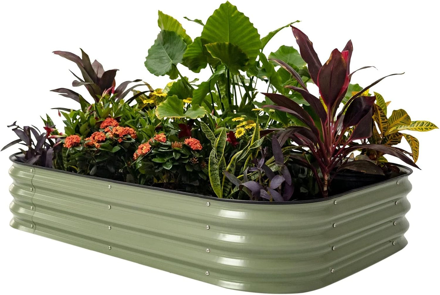 Vego Garden Raised Garden Bed Kits for Vegetables and Flowers