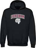UGP Campus Apparel College Team Color Arch Logo Hoodie - Fan Staple