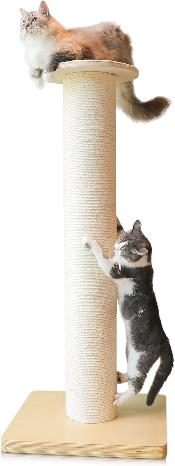 50 Inch Tall Cat Scratching Post for Large Cats, Extra-Sturdy Design
