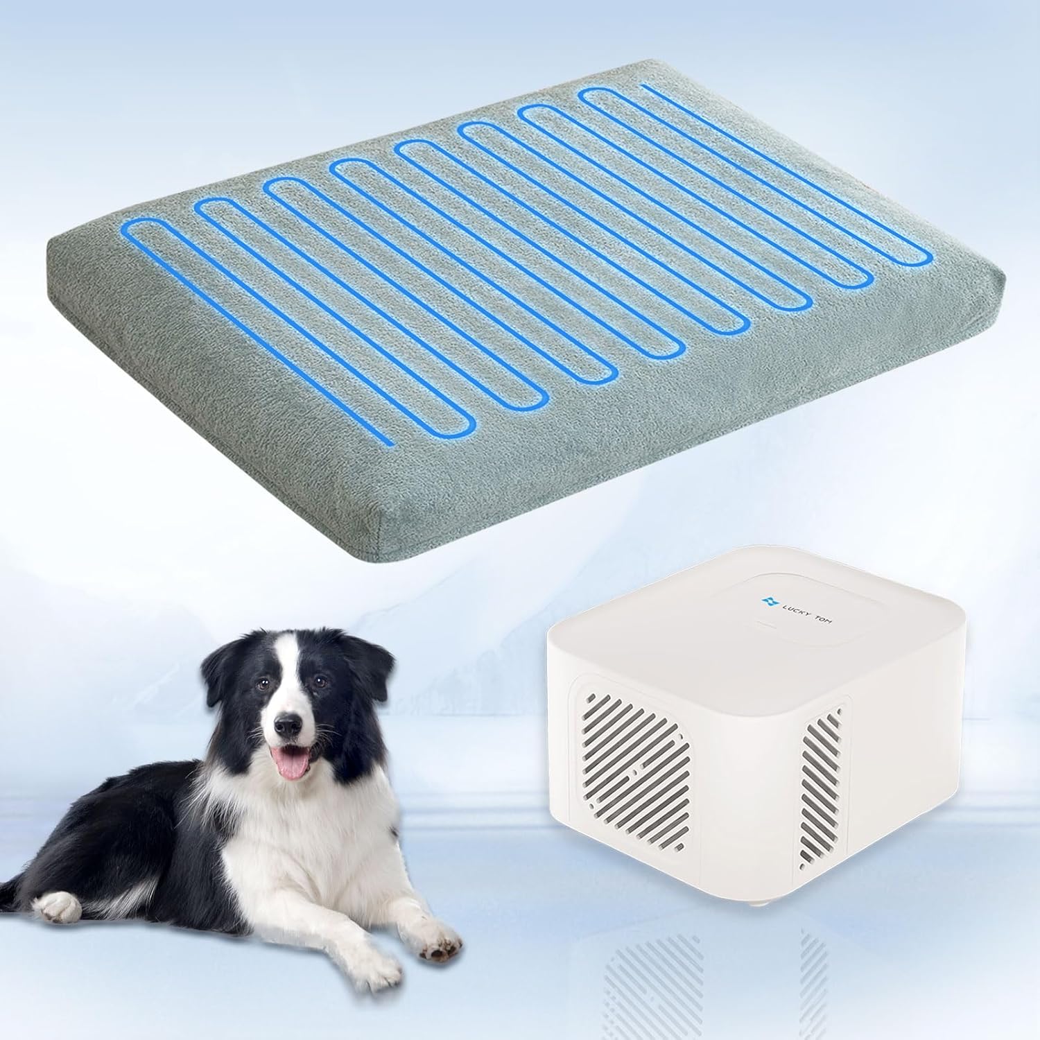 Pet Bed Cooling System for Comfortable Summer Naps and Rest