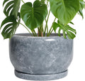 SQOWL Ceramic Plant Pot 10 in Gray - Durable Indoor Planter