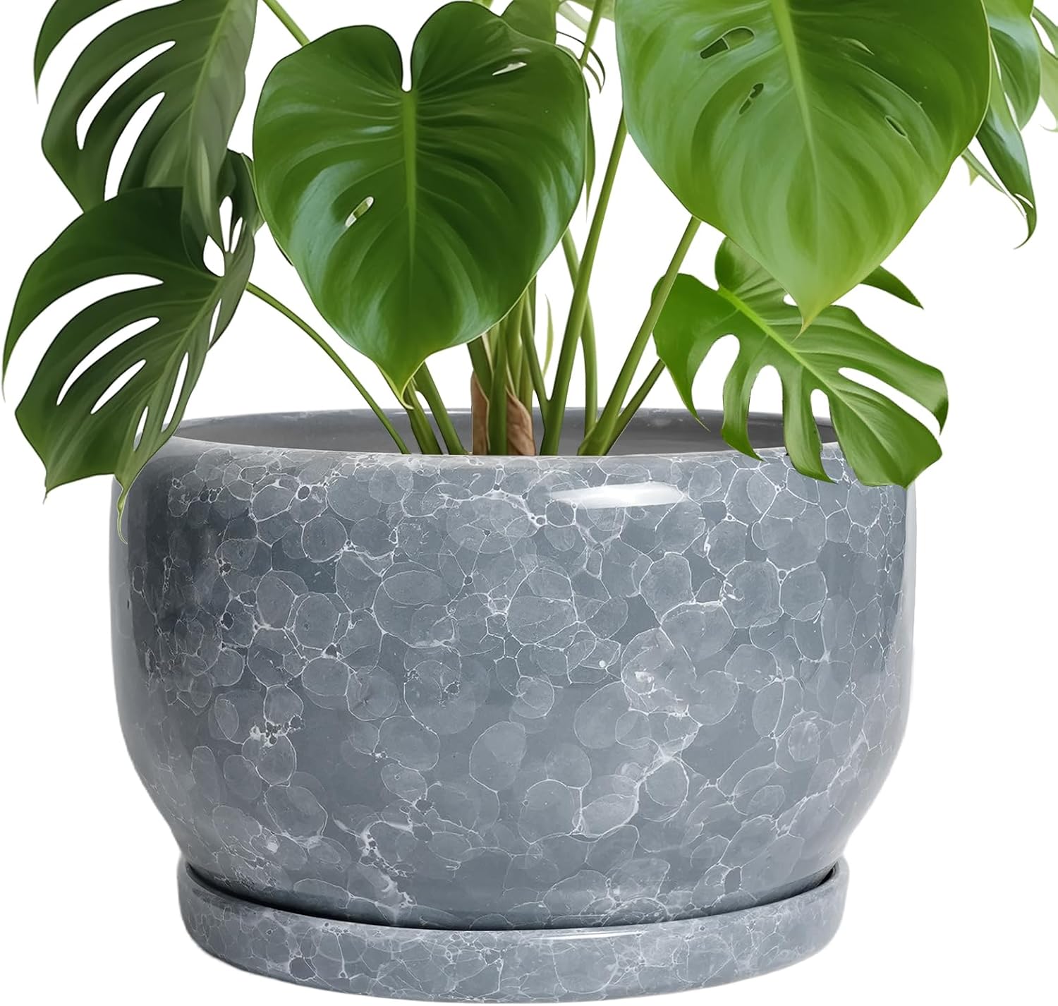 SQOWL Ceramic Pot for Plants - 10 Inch Indoor Planter with Saucer