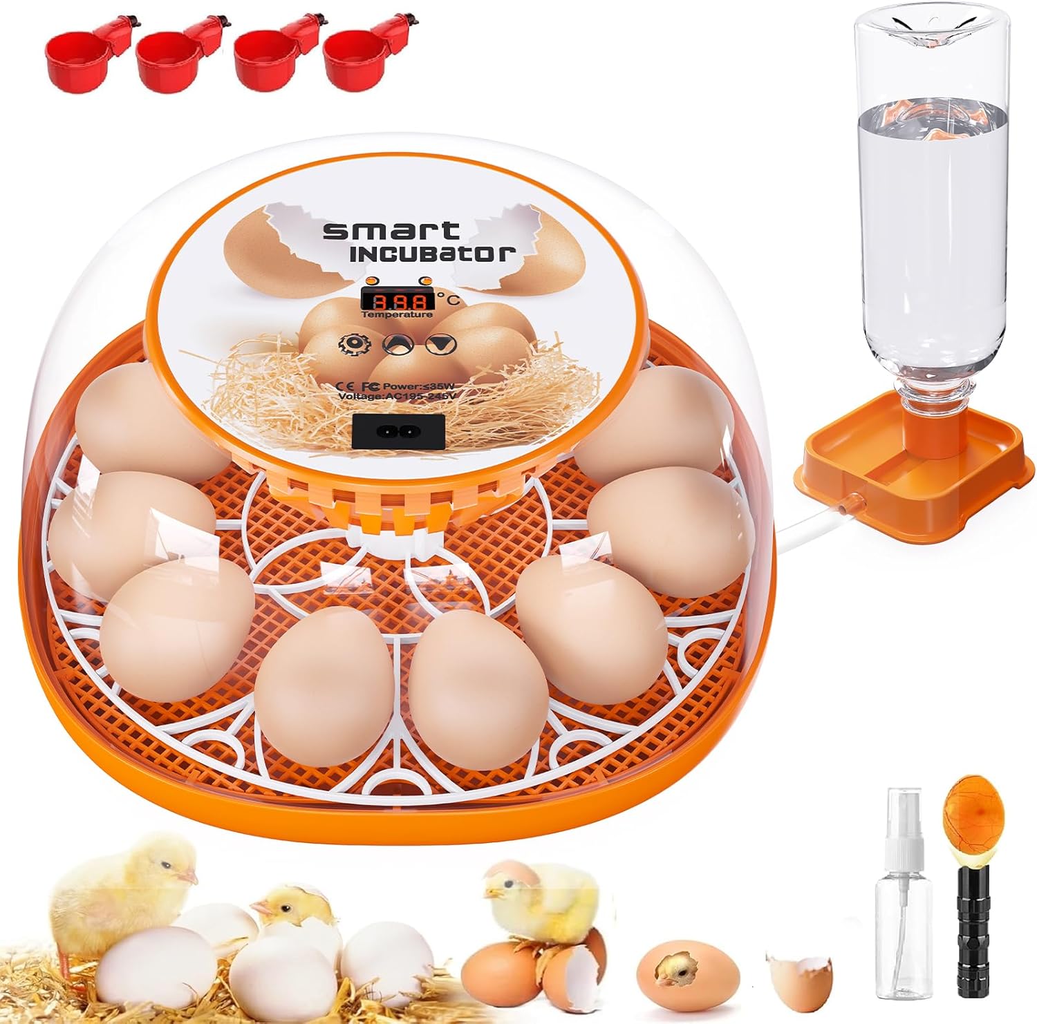 12 Egg Incubator with Automatic Turning and Temperature Control