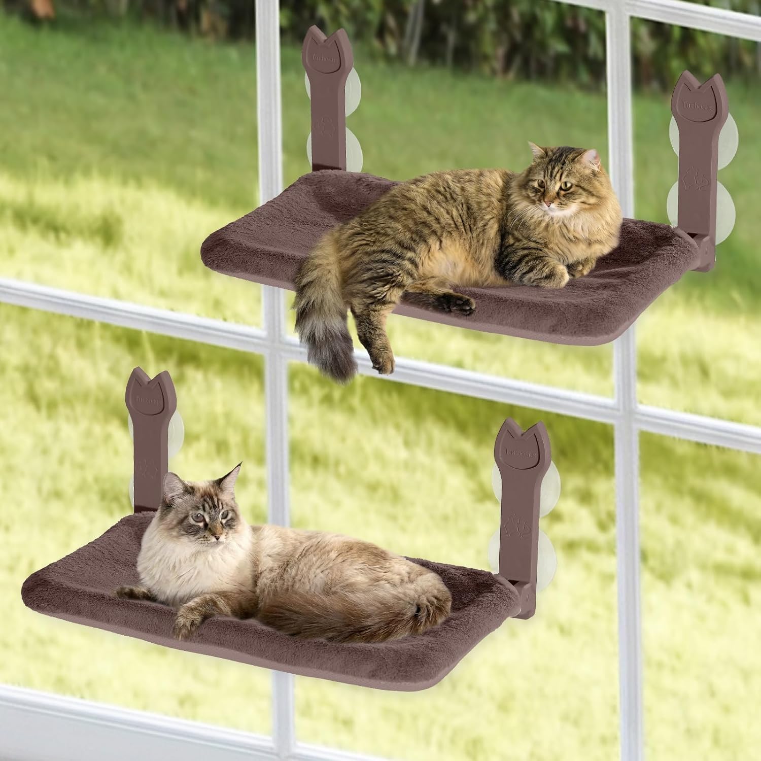 2 Pack Cat Window Perch with Strong Suction Cups for Cats