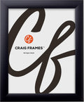 Craig Frames 13 by 19 in Picture Frame - Smooth Black Wrap Finish