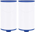 Spa Filter Compatible with FC-2402 303279 - Reliable 2 Pack