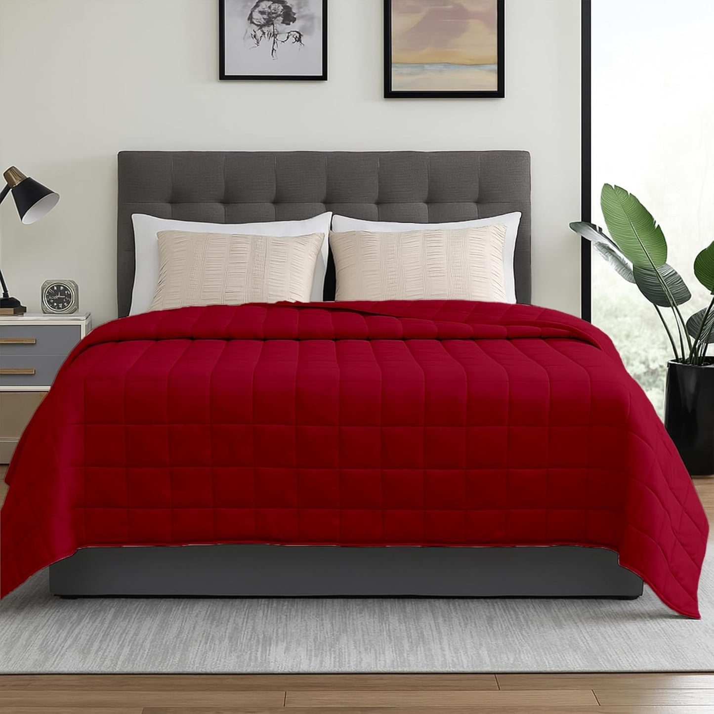 HomeSmart Products Queen Size 40lbs Weighted Blanket for Comfort