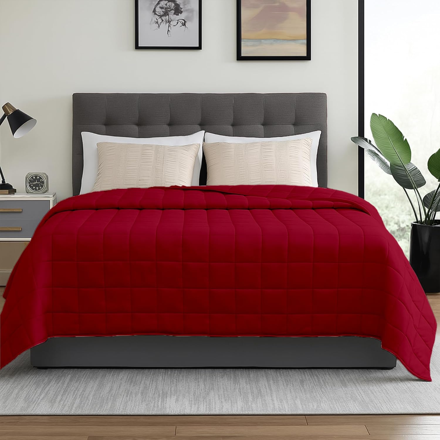 HomeSmart Products Queen Size 40lbs Weighted Blanket for Comfort