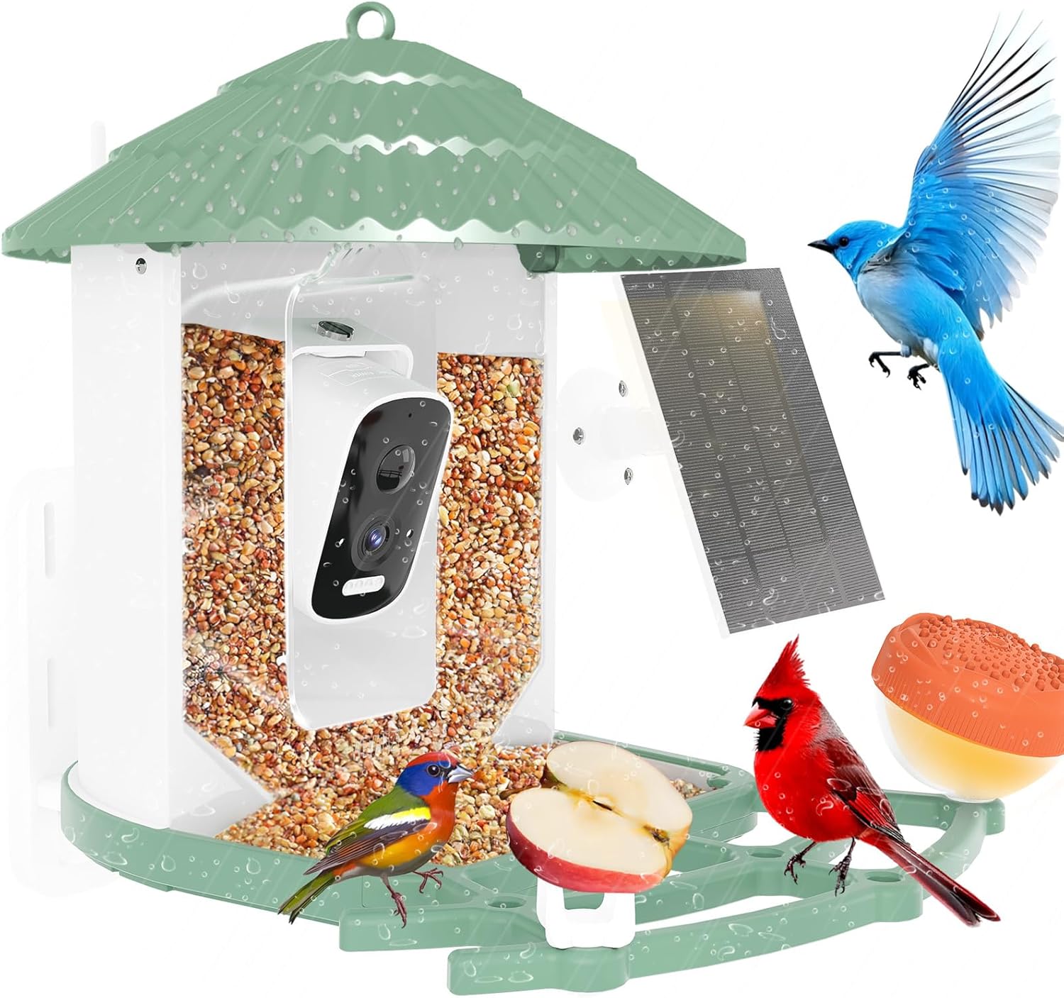 AI Hummingbird Feeder - Live Video, Night Vision, Real-Time Alerts
