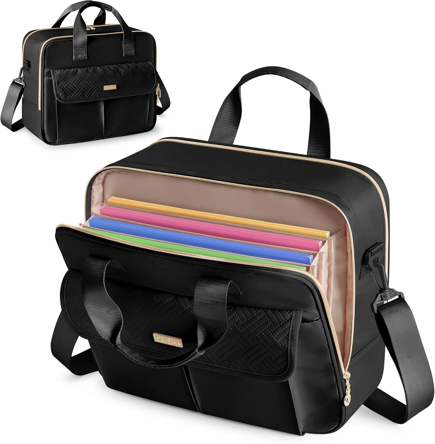 Teacher Bag with Accordion File Organizer for Professionals
