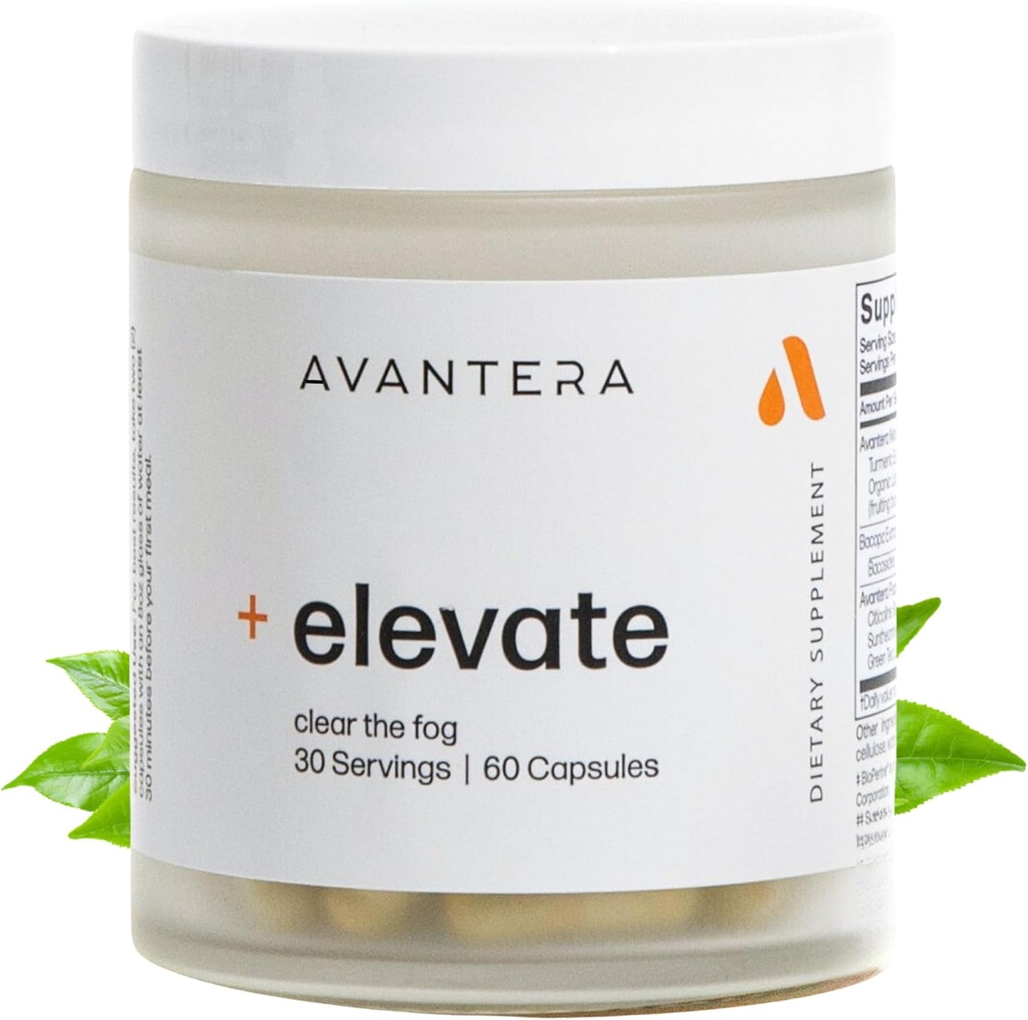 Elevate Premium Nootropic Supplement for Focus and Memory