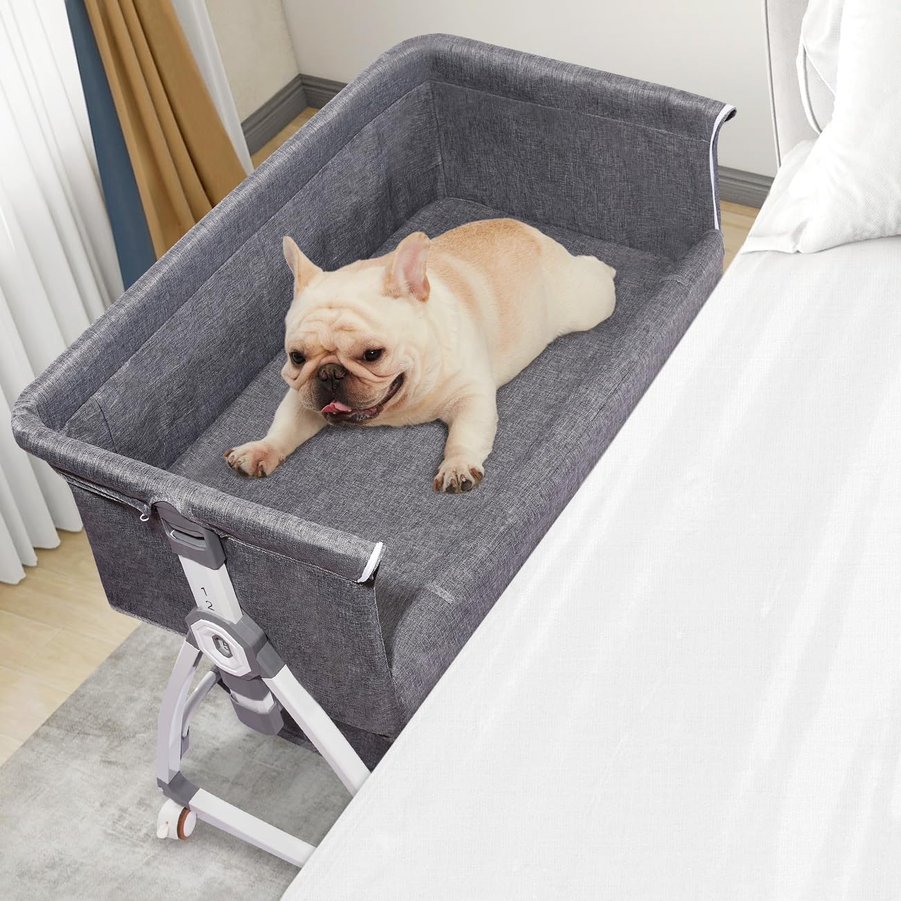 Raised Pet Bunk Bed for Dogs - Perfect Bedside Lounger Solution