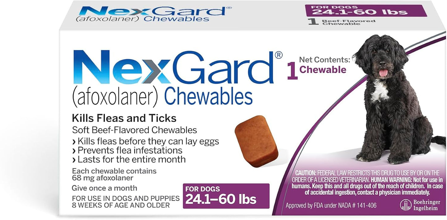 NexGard Flea and Tick Protection for Dogs - Beef Chewables