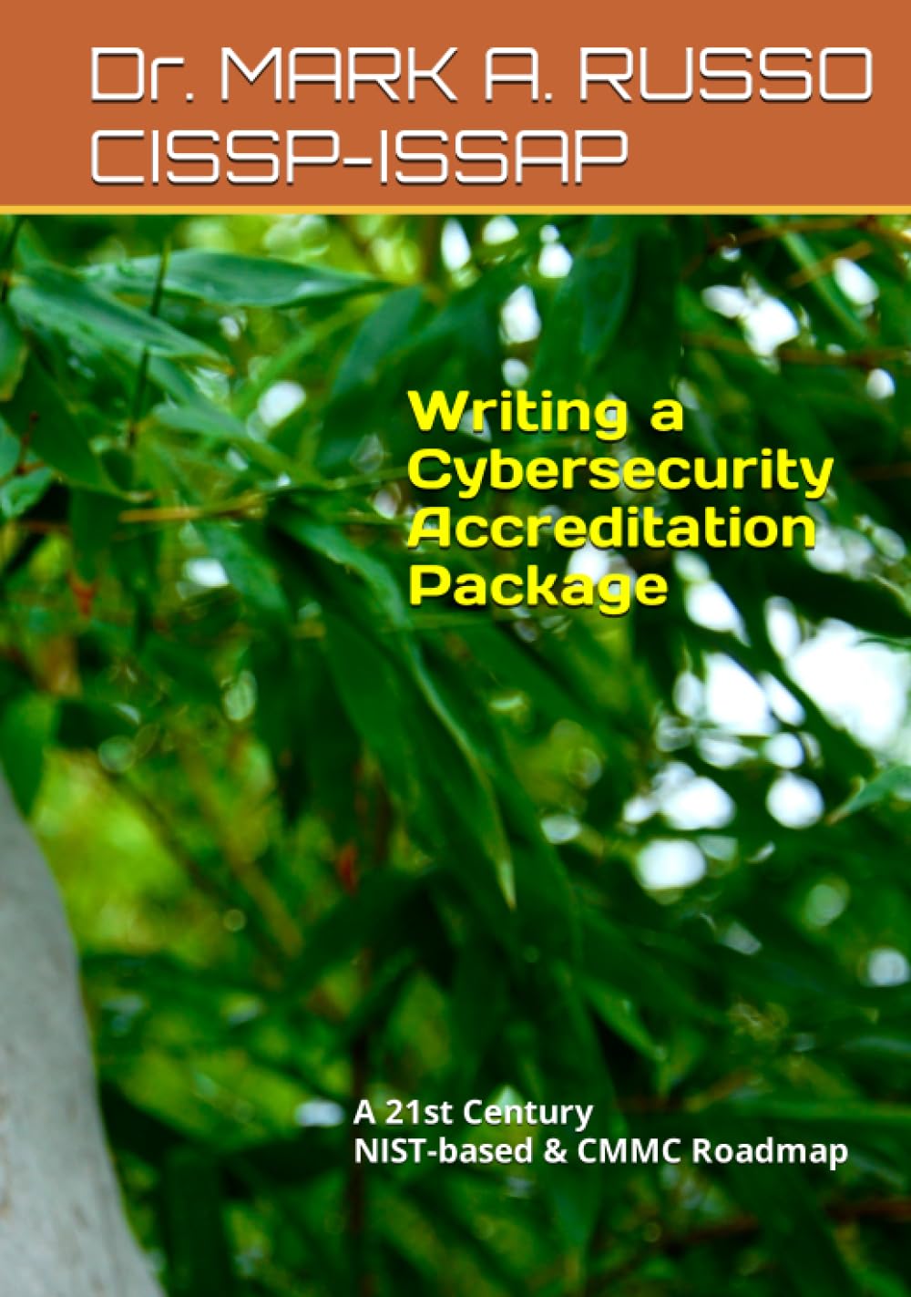 Writing a Cybersecurity Accreditation Package: NIST & CMMC Guide