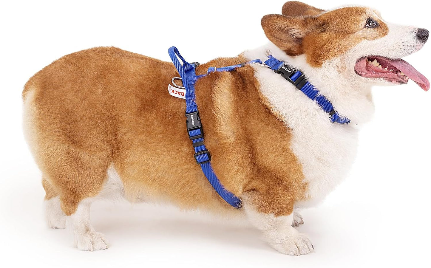 Non Restrictive Dog Harness for Easy Walks and Comfort