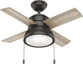 Hunter 36 in Contemporary Noble Bronze Ceiling Fan with Light Kit