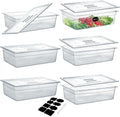 6 Pack NSF Food Pans with Lids Full Size 6in Deep - Clear