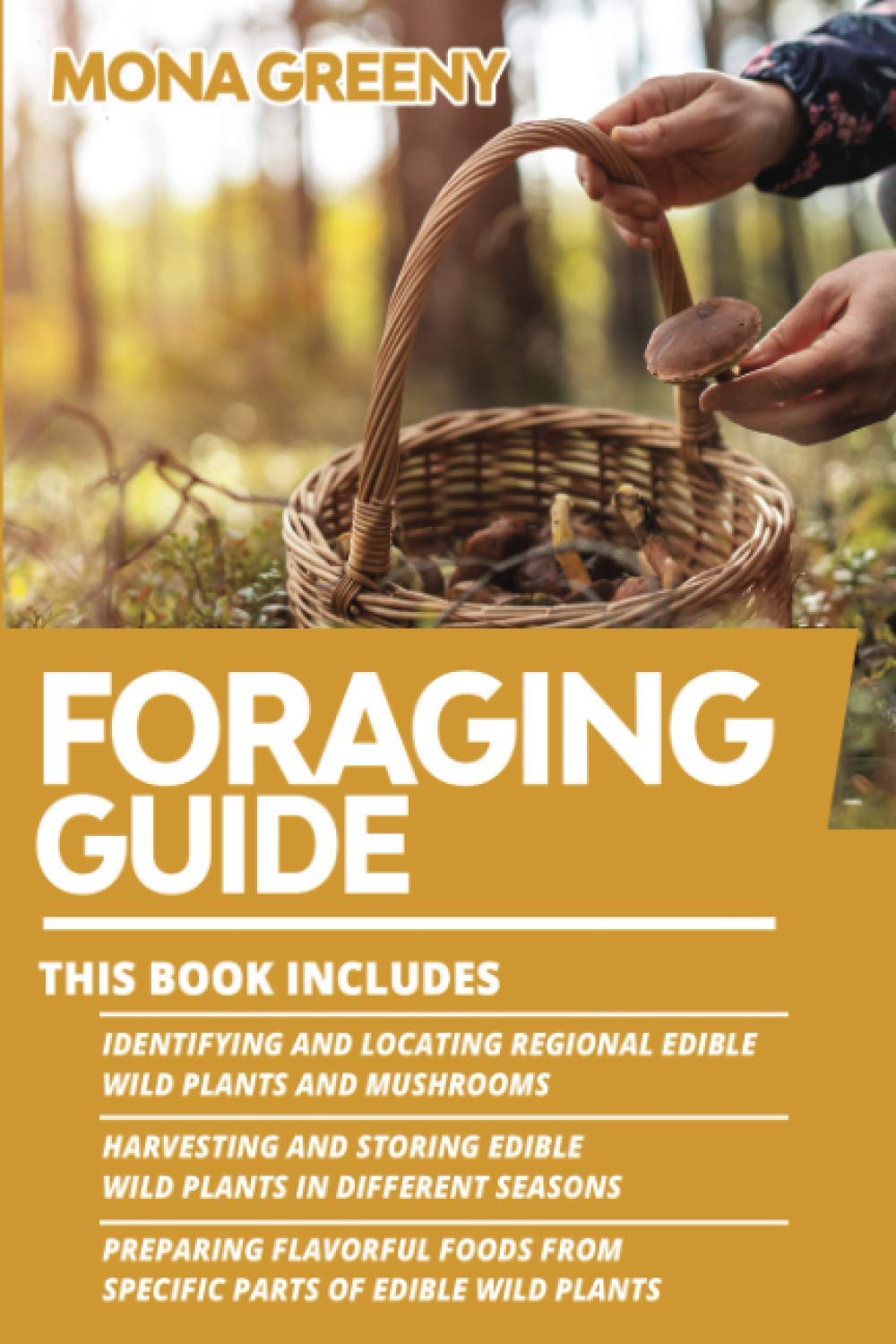 Foraging Guide: Identifying Edible Wild Plants and Mushrooms