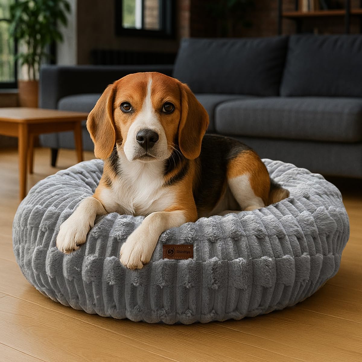 ShinHye Dog Bed for Small Dogs & Cats - Cozy Round Pet Bed